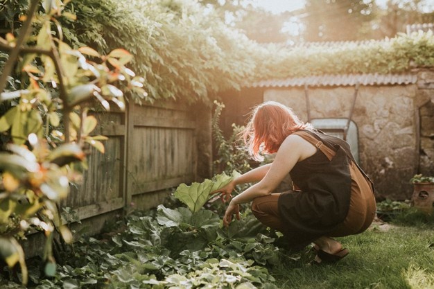Jak powiększyć mały ogród? 8 prostych sposobów na zwiększenie przestrzeni